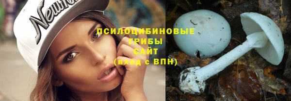 СК Бородино