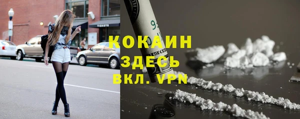 прущий лед Бикин