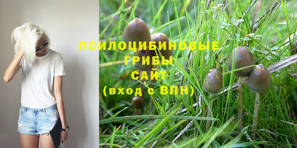 СК Бородино