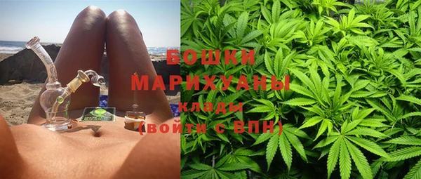 СК Бородино