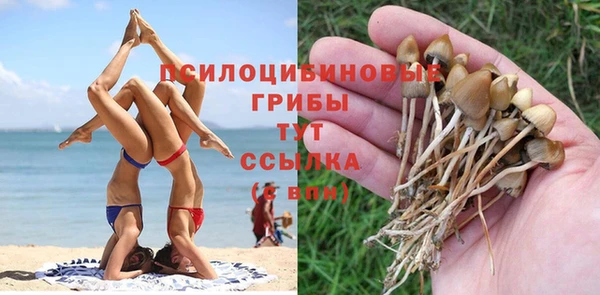 мдма Билибино