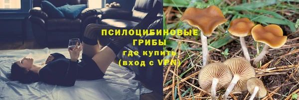 СК Бородино