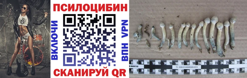 Псилоцибиновые грибы Cubensis  Великие Луки 