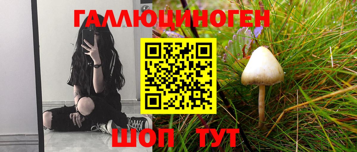 Псилоцибиновые грибы мицелий Великие Луки